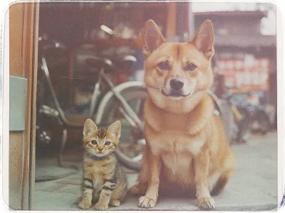 A vintage-style photograph featuring a small, tabby kitten sitting next to a medium-sized tan dog. Both animals are facing the camera with calm expressions. The kitten has distinctive dark stripes and is wearing a small collar. The dog has pointed ears and a light underbelly. In the background, there are blurred objects including bicycles and a rustic structure, adding to the nostalgic feel of the image. The edges of the photo are slightly faded, enhancing the retro aesthetic.